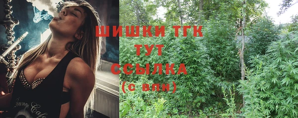 дмт Горняк