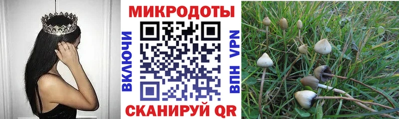 Псилоцибиновые грибы Magic Shrooms  Озёры 